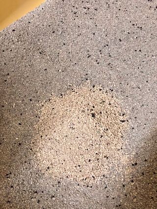 겟플렉스 켓플렉스 캣츠룸BS-1 고양이모래 4kg — 5점을 준 리뷰어가 2021년 2월 올린 사용 사진