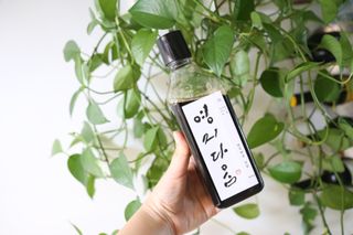 아하경주맘님이 올린 리뷰 사진 3