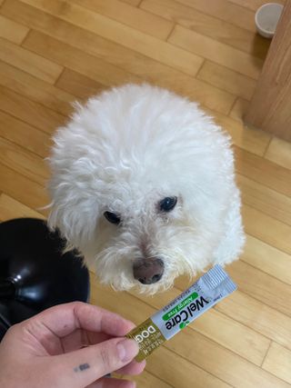 씩씩한리니님이 올린 리뷰 사진 2