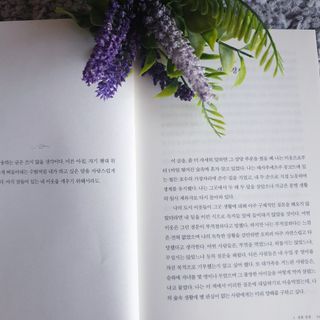 로샤님이 올린 리뷰 사진 2
