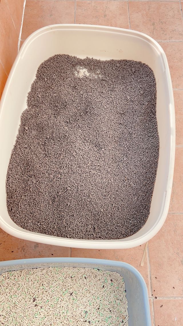 알프래드 블랙샌드 7kg 리뷰 사진