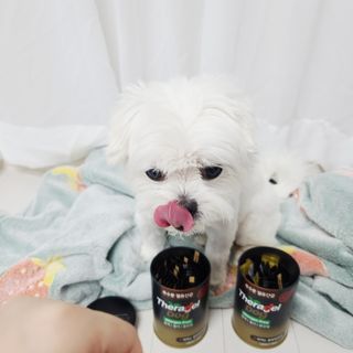 송린깡님이 올린 리뷰 사진 3