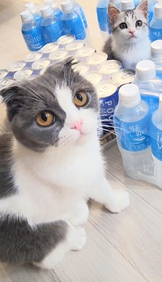 날씬이클디님이 올린 리뷰 사진 3