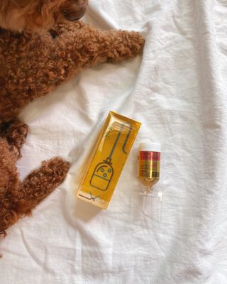 무지조타 반려동물용 꽃으로만든영양제 헬리코디펜스 15ml — 4.5점을 준 리뷰어가 2021년 8월 올린 사용 사진