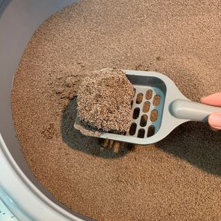 고장고님이 올린 리뷰 사진 3