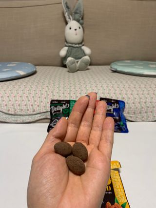 민트티샘님이 올린 리뷰 사진 4