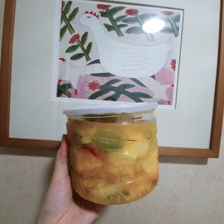 셰프애찬 단호박 백김치 1kg — 5점을 준 리뷰어가 2022년 10월 올린 사용 사진