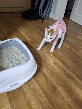 형통맘님이 올린 리뷰 사진 3
