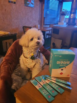 펫시랩 반려견용 액상 프리바이오틱스 아쿠아펫 — 5점을 준 리뷰어가 2021년 1월 올린 사용 사진