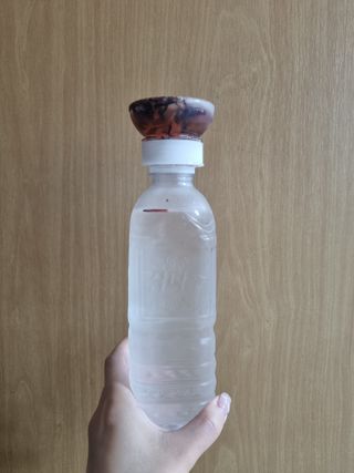 네몽이님이 올린 리뷰 사진 3