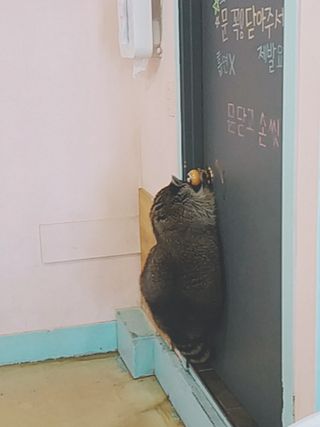 아그네스님이 올린 리뷰 사진 3