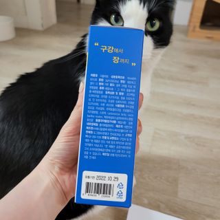 씨디랩 구강에서 장까지 한 번에 관리하는 더블락토 강아지 고양이 유산균 — 5점을 준 리뷰어가 2021년 6월 올린 사용 사진