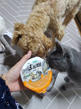 보리엄마님이 올린 리뷰 사진 3