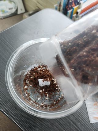 선유맘님이 올린 리뷰 사진 4