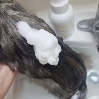 이선영님이 올린 리뷰 사진 2