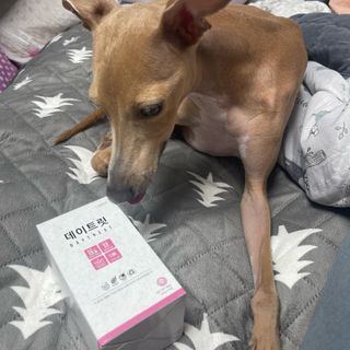 JeonEunju님이 올린 리뷰 사진 1