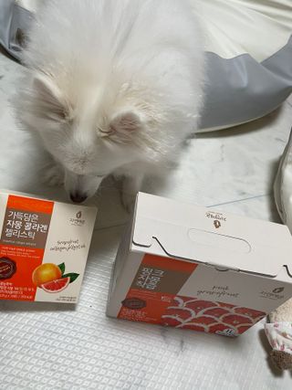 자연에온 핑크 자몽 착즙 100mL 10개입 1BOX +가 득담은 자몽 콜라겐 젤리스틱 1BOX — 5점을 준 리뷰어가 2021년 7월 올린 사용 사진