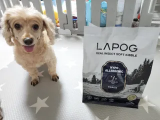 [푸디웜] 라포그 리얼인섹트 소프트키블 스킨 1KG — 5점을 준 리뷰어가 2022년 9월 올린 사용 사진