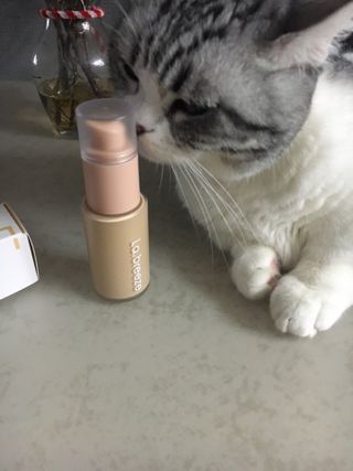 케이트25님이 올린 리뷰 사진 4