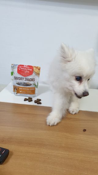 둘둘이님이 올린 리뷰 사진 4