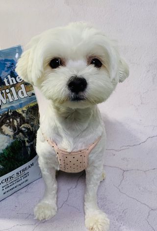 떠유님이 올린 리뷰 사진 1