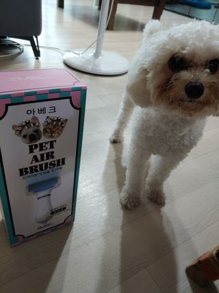 아베크 펫 강아지 고양이 애견 에어 브러쉬 드라이기 올인원 — 5점을 준 리뷰어가 2021년 7월 올린 사용 사진