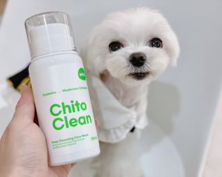 whol 키토클린 200ml - 항균항바이러스 강아지 눈 코 입 귀 세정탈취 고양이 턱드름제거 무향 워터리스 대용량 — 5점을 준 리뷰어가 2022년 10월 올린 사용 사진