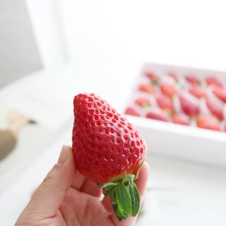 내삶의비타민님이 올린 리뷰 사진 4