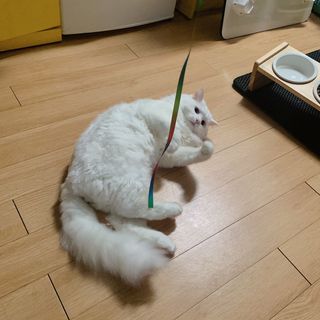 슈님이 올린 리뷰 사진 2