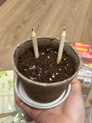 유둥이님이 올린 리뷰 사진 1