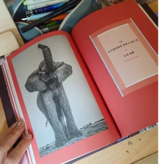 가루파랑님이 올린 리뷰 사진 2