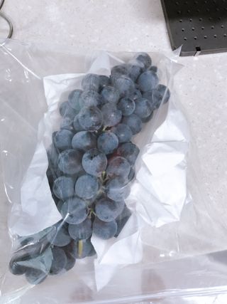 노플(NOPL) 노플 친환경 바이오 산화 생분해  항균 일회용 위생 비닐장갑 100매 + 지퍼백 소형, 대형 — 5점을 준 리뷰어가 2021년 9월 올린 사용 사진