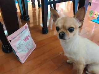 My Pet Care 천연단백질 관절건강에 개좋아 — 5점을 준 리뷰어가 2021년 1월 올린 사용 사진