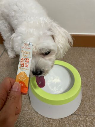 냥냥이님이 올린 리뷰 사진 2