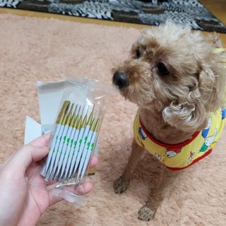 유나님이 올린 리뷰 사진 3