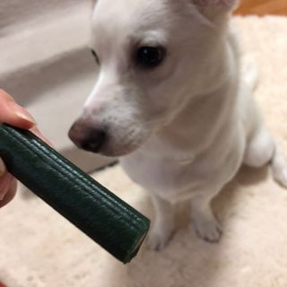 J님이 올린 리뷰 사진 2