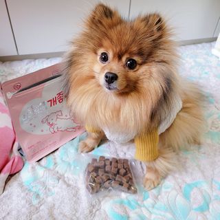 My Pet Care 천연단백질 관절건강에 개좋아 — 5점을 준 리뷰어가 2021년 1월 올린 사용 사진