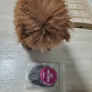 준맘님이 올린 리뷰 사진 1