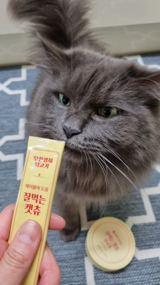 아들애미님이 올린 리뷰 사진 2