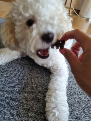 귀요미두공주맘님이 올린 리뷰 사진 4