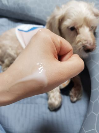 뤠빗님이 올린 리뷰 사진 4