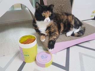 페페로니 맛있는 스틱 - 무항생제 닭고기 15개 + 원양선 참치 15개 — 5점을 준 리뷰어가 2021년 7월 올린 사용 사진