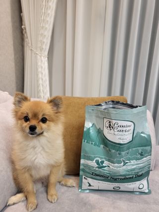 캐닌캐비어 알카라인 홀리스틱 그레이프리 앙뜨레 ALS_4종 오픈스카이, 와일드오션, 프리스피릿, 스페셜니즈 — 5점을 준 리뷰어가 2023년 2월 올린 사용 사진