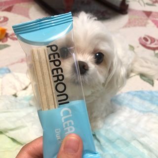 O_zl님이 올린 리뷰 사진 1