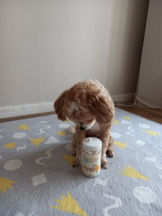 LeeJiYeon님이 올린 리뷰 사진 2