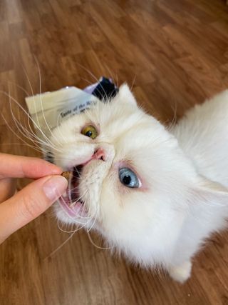 김푸딩님님이 올린 리뷰 사진 1