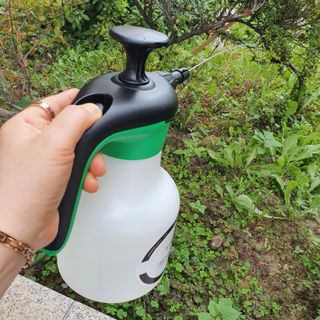 jinjin님이 올린 리뷰 사진 3