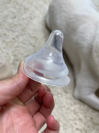 스쿰비님이 올린 리뷰 사진 2