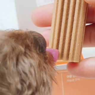 에코혜현님이 올린 리뷰 사진 3