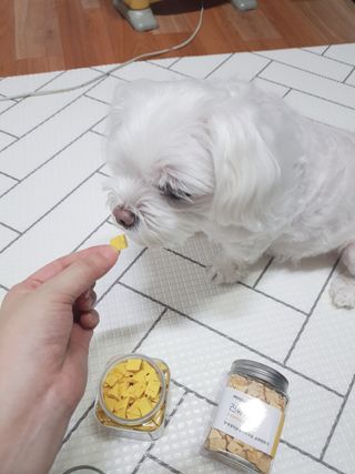 두부님이 올린 리뷰 사진 3